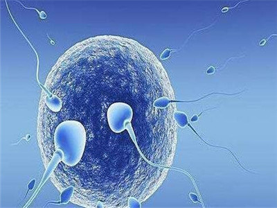 靠谱代怀包成功